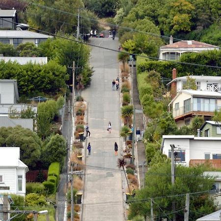 Sleep On The Steepest Street In The World! Bed & Breakfast Dunedin Eksteriør bilde